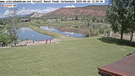 carbondale webcam|More.